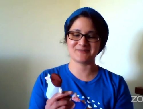Bilingual Spanish/English Storytime With Erica Cuentos Bilingües en Español/Inglés Con Erica