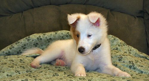 Cariñito Manuel cuento original para niños