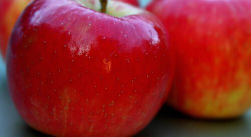 Las Manzanitas. Cuento Andino