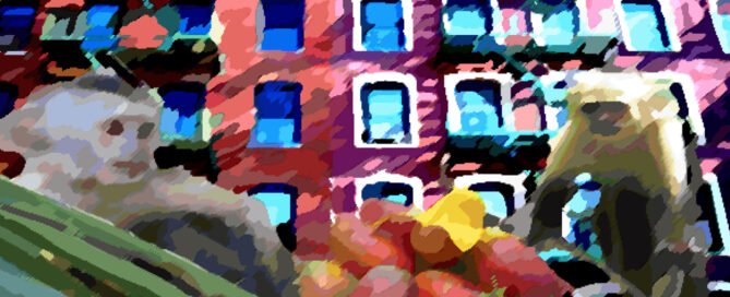 cubierta de libro de cuentos infantiles