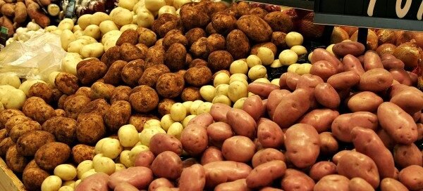 cuento para niños sembremos papas en marte